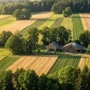 Agriculture and Forestry