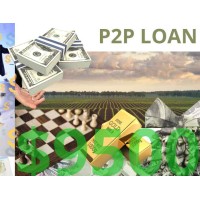 Business/Personal P2P Loan $9500 Diaspora Investment