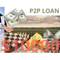 Business/Personal P2P Loan $10000 Diaspora Investment