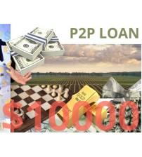 Business/Personal P2P Loan $10000 Diaspora Investment