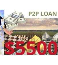Business/Personal P2P Loan $5500 Diaspora Investment
