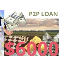 Business/Personal P2P Loan $6000 Diaspora Investment
