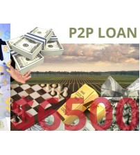 Business/Personal P2P Loan $6500 Diaspora Investment
