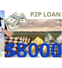 Business/Personal P2P Loan $8000 Diaspora Investment