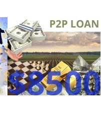 Business/Personal P2P Loan $8500 Diaspora Investment