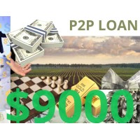 Business/Personal P2P Loan $9000 Diaspora Investment